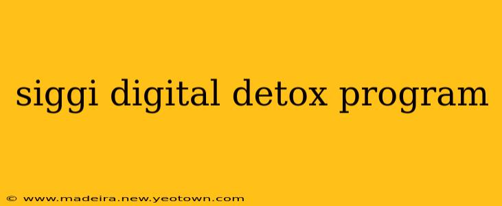 siggi digital detox program