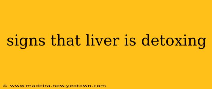 signs that liver is detoxing
