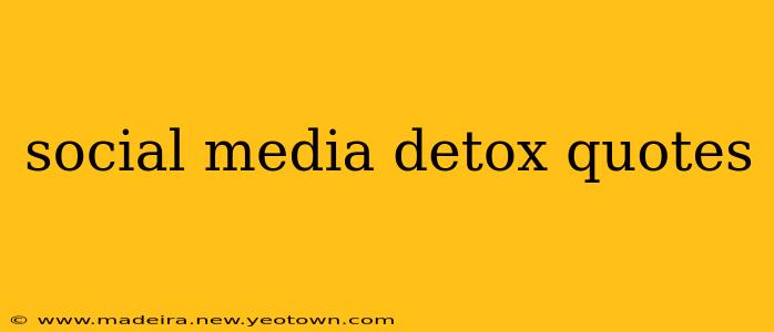 social media detox quotes