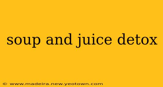 soup and juice detox