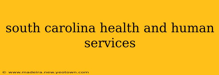 south carolina health and human services