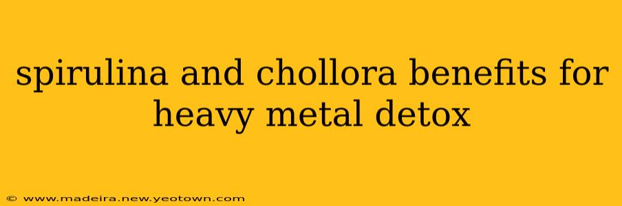 spirulina and chollora benefits for heavy metal detox