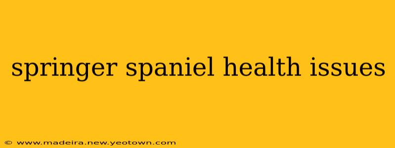 springer spaniel health issues