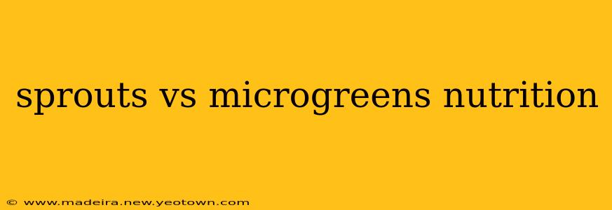sprouts vs microgreens nutrition