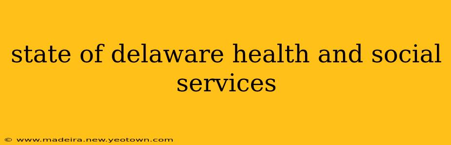 state of delaware health and social services