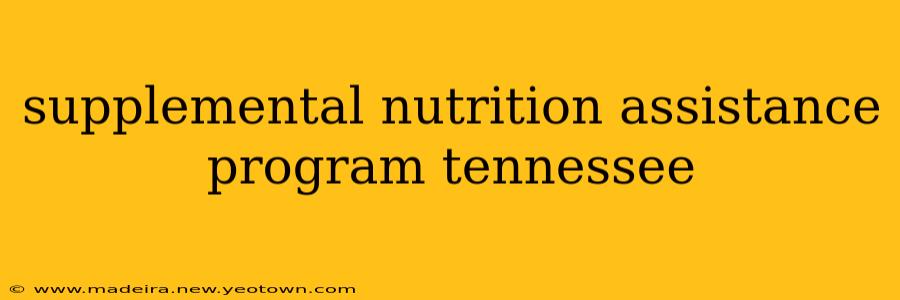 supplemental nutrition assistance program tennessee
