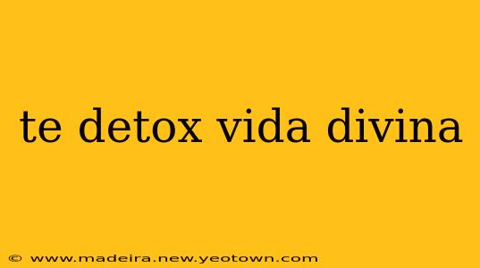 te detox vida divina