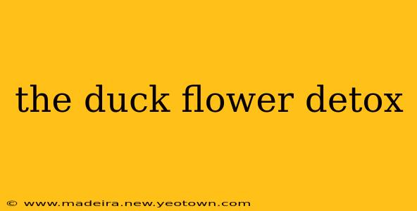 the duck flower detox