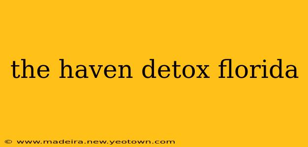 the haven detox florida
