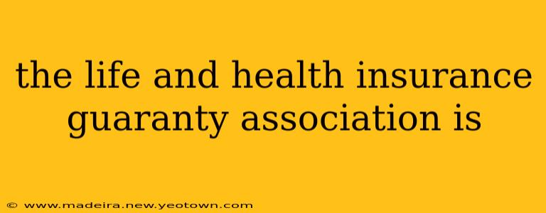 the life and health insurance guaranty association is
