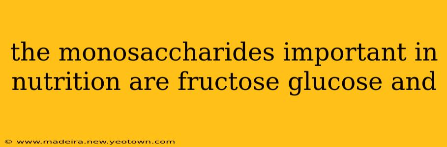 the monosaccharides important in nutrition are fructose glucose and