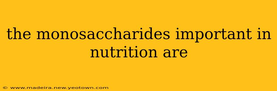the monosaccharides important in nutrition are