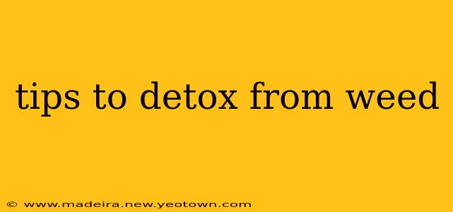 tips to detox from weed