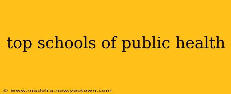 top schools of public health