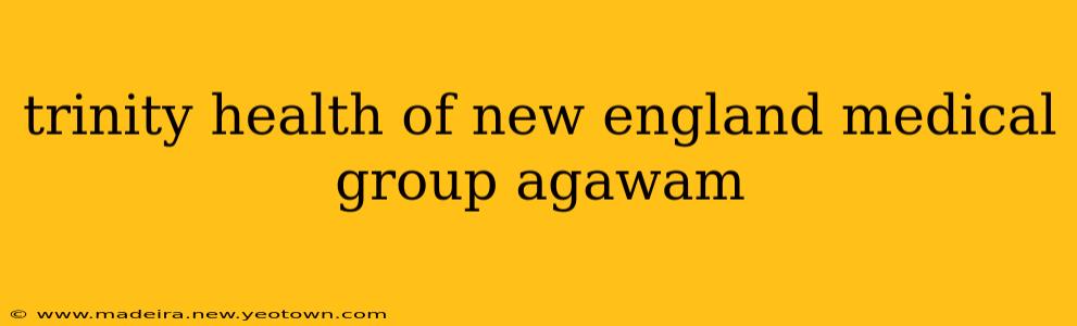 trinity health of new england medical group agawam