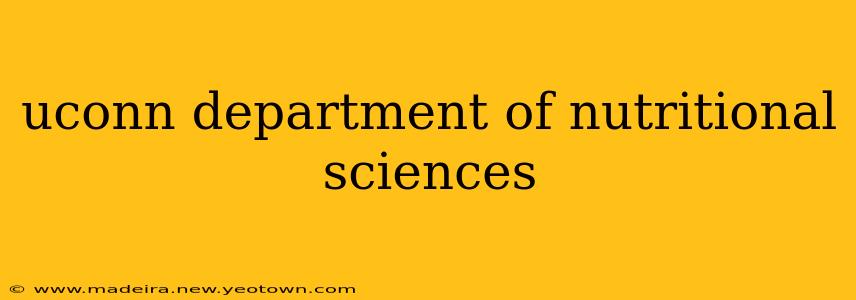 uconn department of nutritional sciences