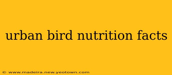 urban bird nutrition facts