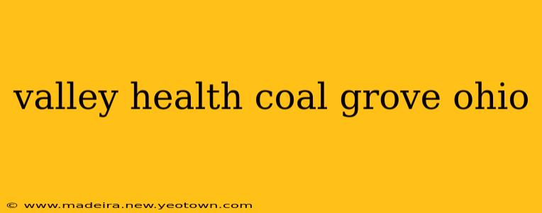 valley health coal grove ohio