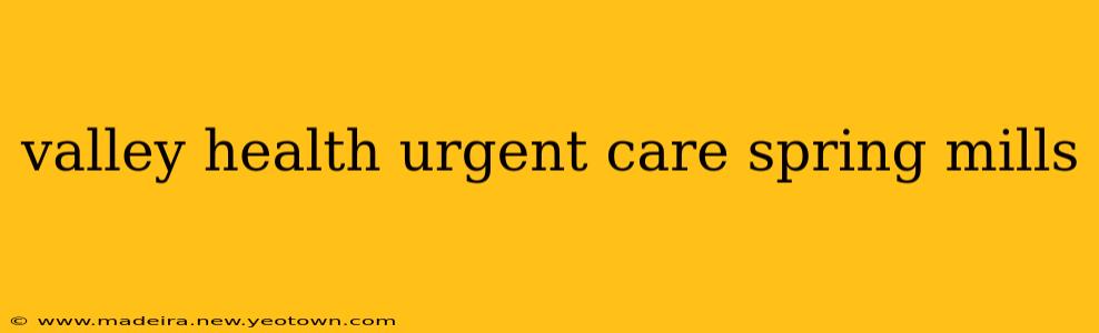 valley health urgent care spring mills