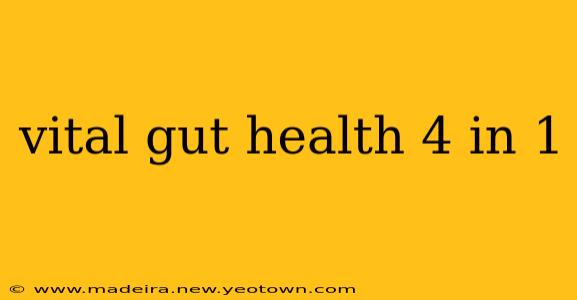 vital gut health 4 in 1