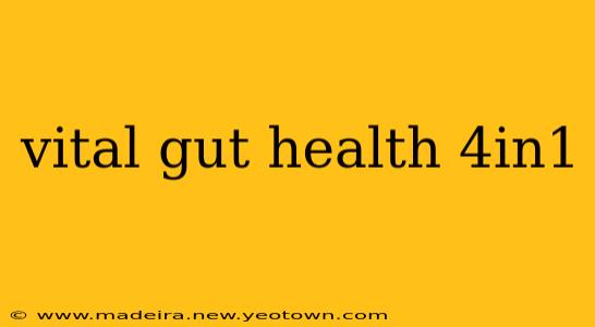 vital gut health 4in1