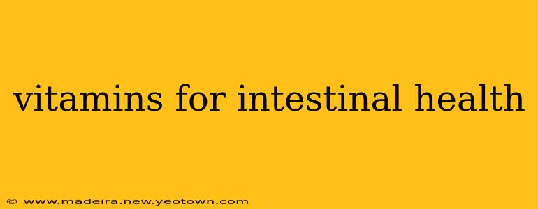 vitamins for intestinal health
