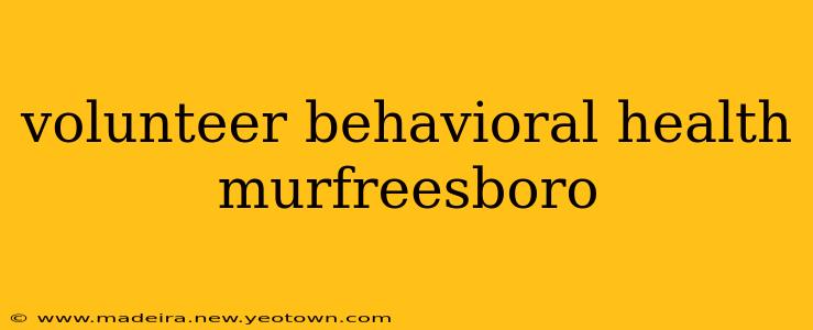 volunteer behavioral health murfreesboro
