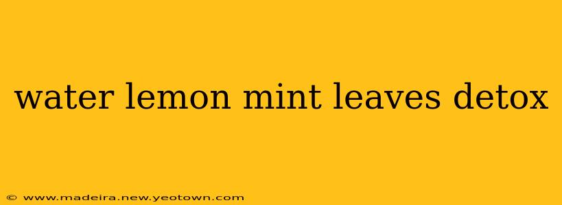 water lemon mint leaves detox