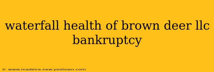 waterfall health of brown deer llc bankruptcy
