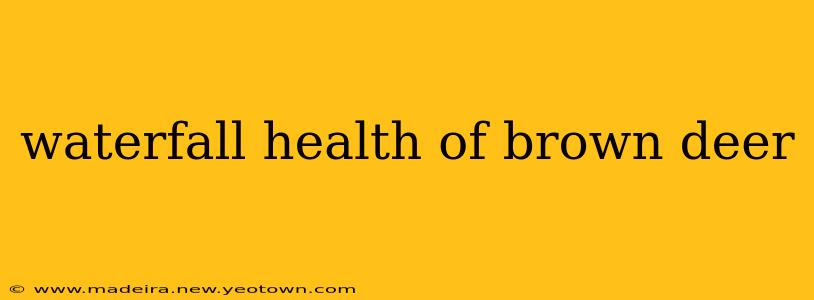 waterfall health of brown deer