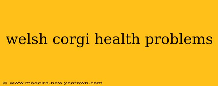 welsh corgi health problems