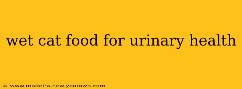 wet cat food for urinary health