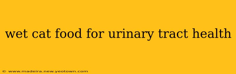 wet cat food for urinary tract health