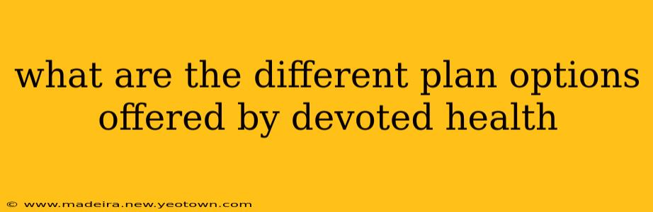 what are the different plan options offered by devoted health