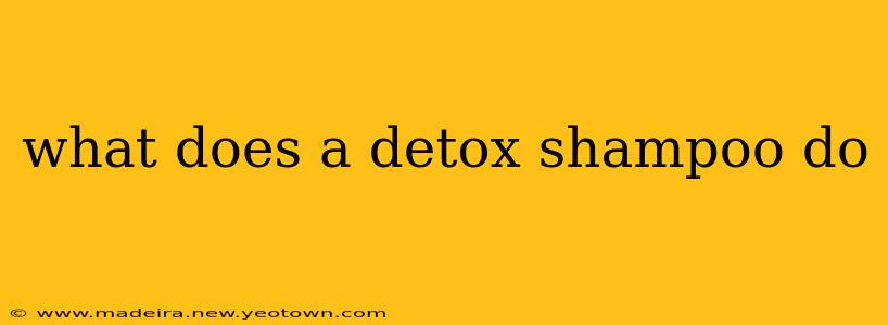 what does a detox shampoo do