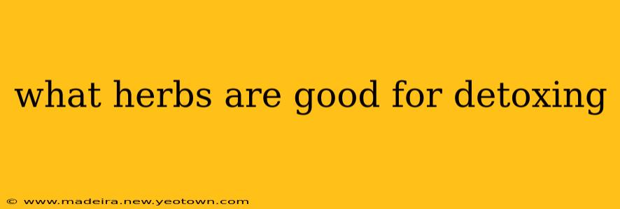 what herbs are good for detoxing