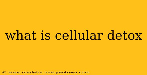 what is cellular detox