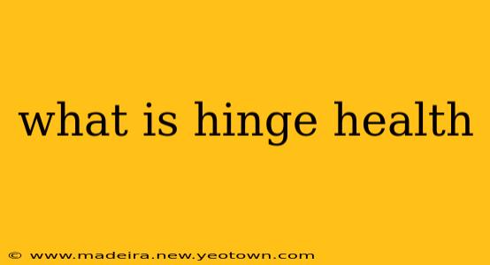 what is hinge health