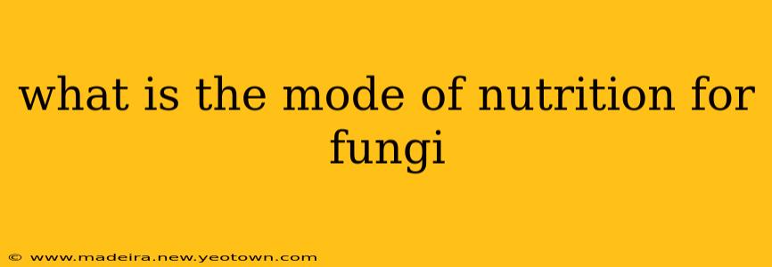 what is the mode of nutrition for fungi
