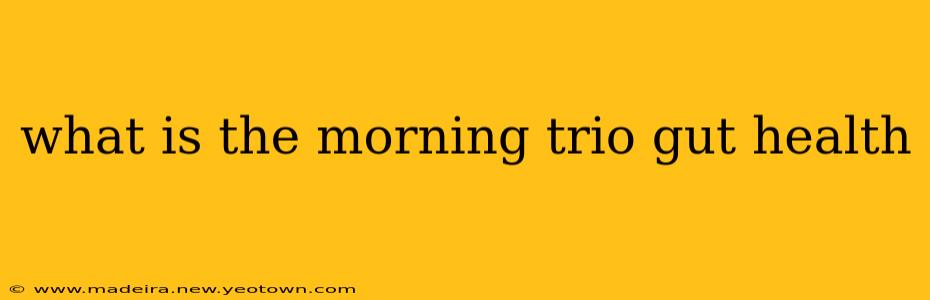 what is the morning trio gut health