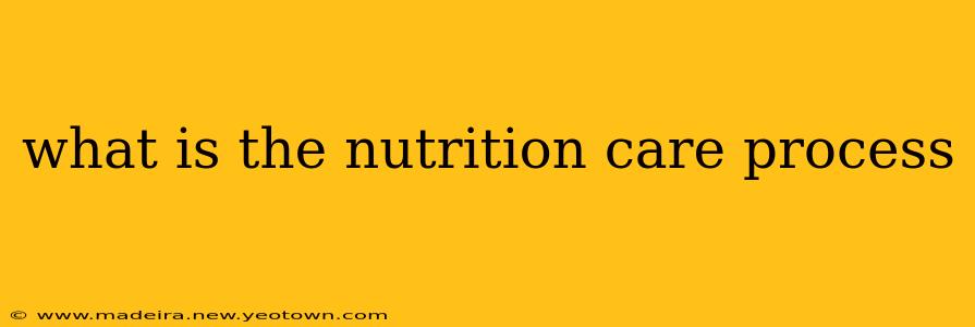 what is the nutrition care process
