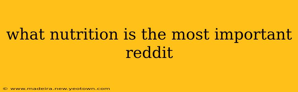 what nutrition is the most important reddit