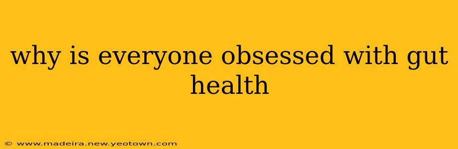 why is everyone obsessed with gut health