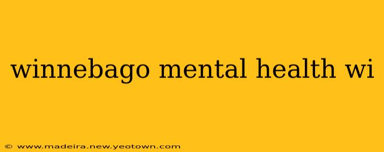 winnebago mental health wi