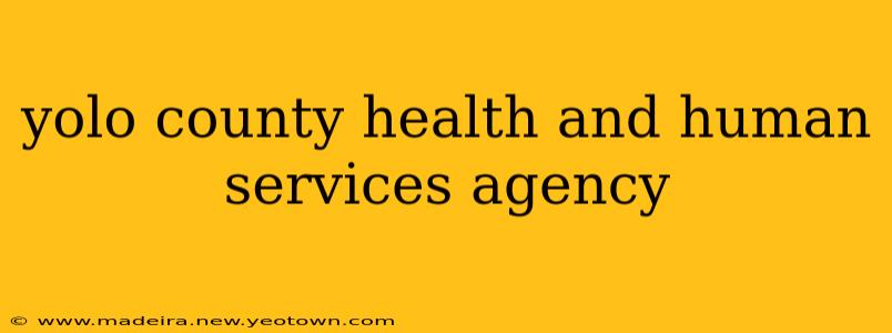 yolo county health and human services agency