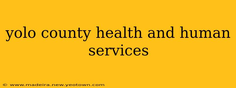 yolo county health and human services