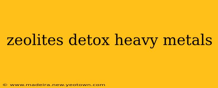 zeolites detox heavy metals